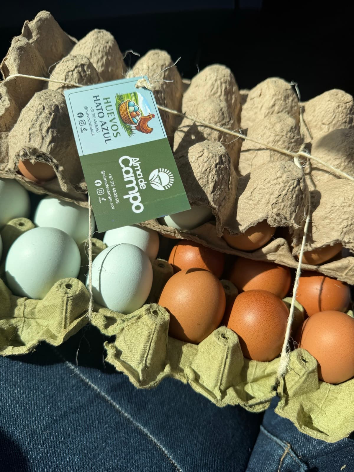 Huevos de gallinas de pastoreo, el primer producto de Veragua